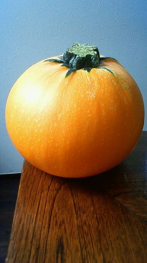 201107301131001