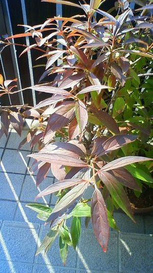 201110091409000