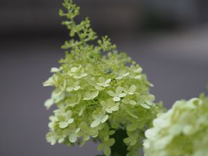 P7260168