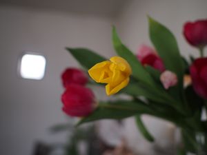 P4021368