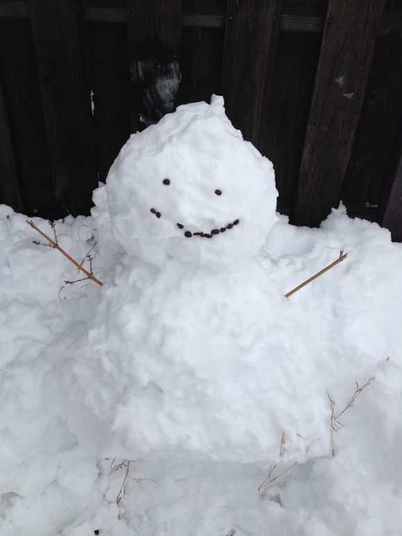 久しぶりのドカ雪⛄️